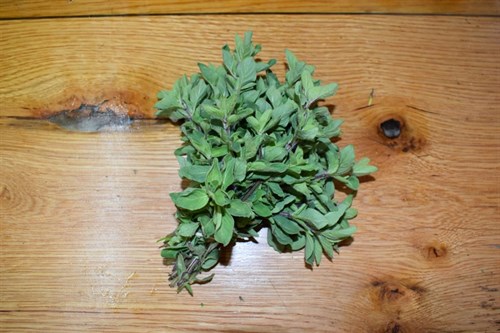 Fresh Herb Bunch - Oregano, Rosemary, or Sage