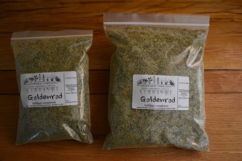 Gathered Threads Bulk Herbs - Goldenrod