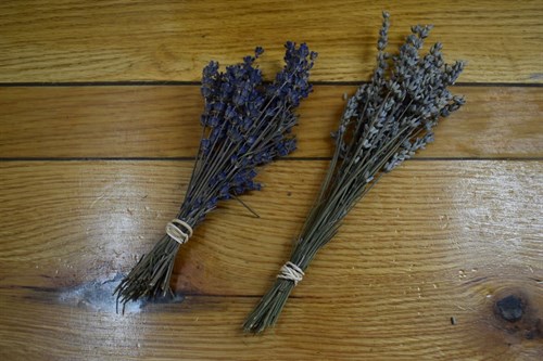Farm Fun - Dried Lavender & Flower Bouquets